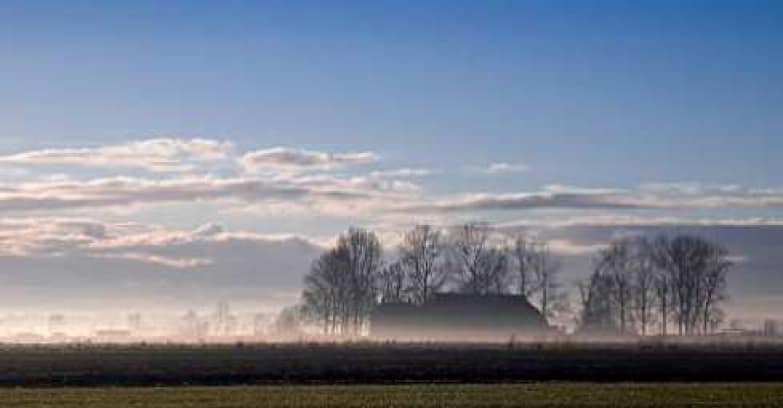Weidelandschap met grondmist en aan de horizon het silhouet van De Tackenborg.